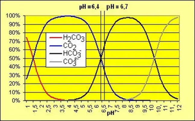 CO2 trong nước